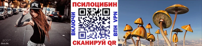 даркнет сайт  Бакал  Псилоцибиновые грибы ЛСД 