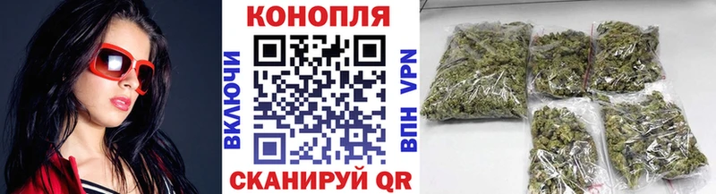 Конопля SATIVA & INDICA  Бакал 